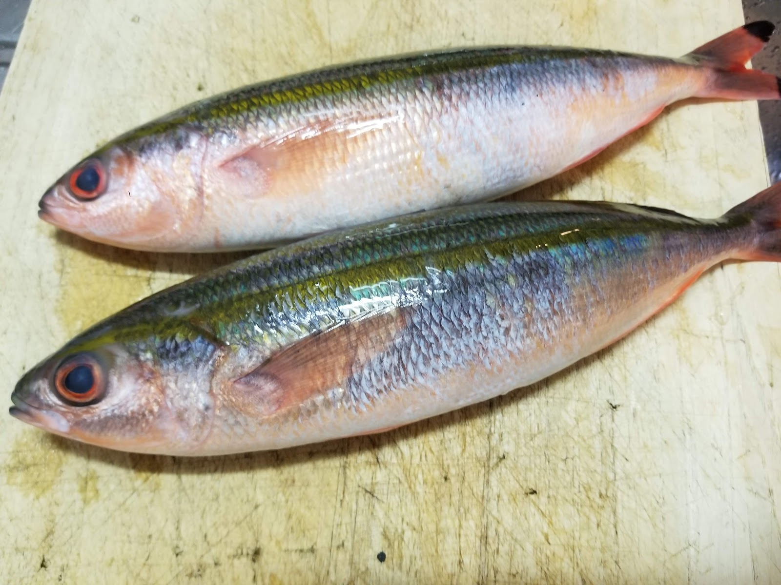 熊本県からやってきたグルクンはそっくりさんのニセタカサゴだったぽいけどクッソ美味かった タログタログ