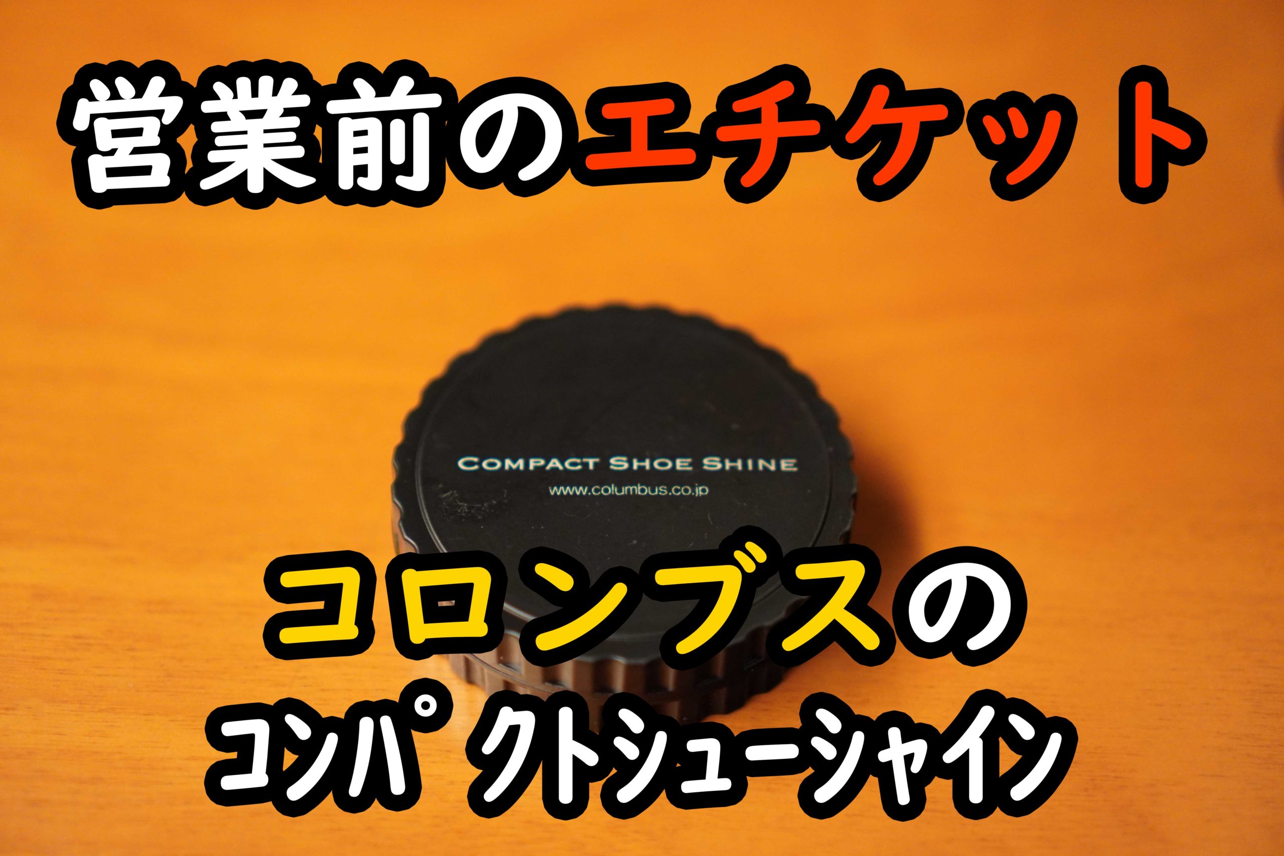 営業前のエチケット 携帯しやすいコンパクトなシュークリーナーでいつでもイケメンシューズに│タログタログ